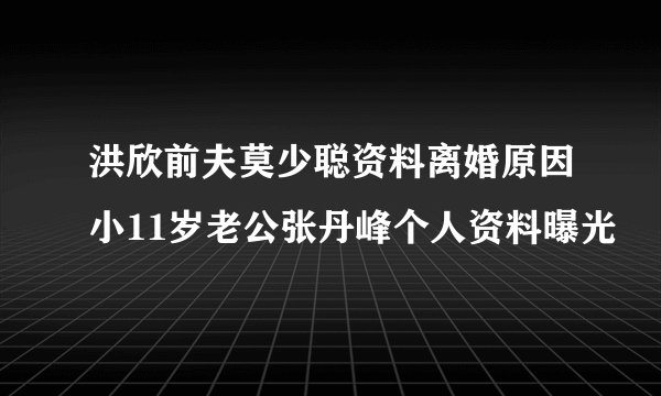 洪欣前夫莫少聪资料离婚原因小11岁老公张丹峰个人资料曝光