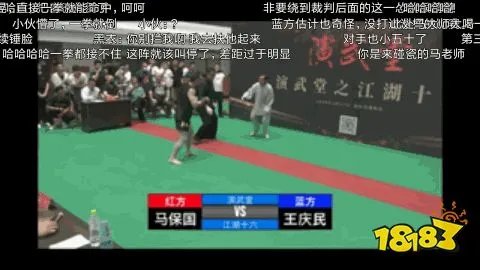 闪电五连鞭什么梗 马保国闪电五连鞭表情包