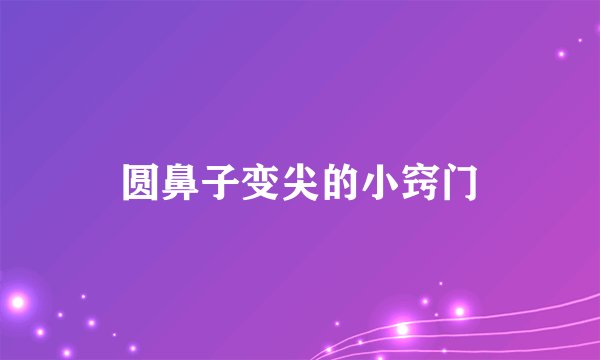 圆鼻子变尖的小窍门