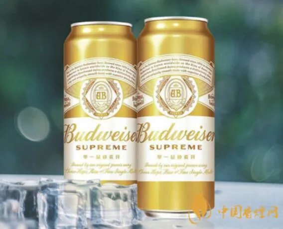 百威金尊啤酒500ml价格多少 百威金尊啤酒怎么样好喝吗