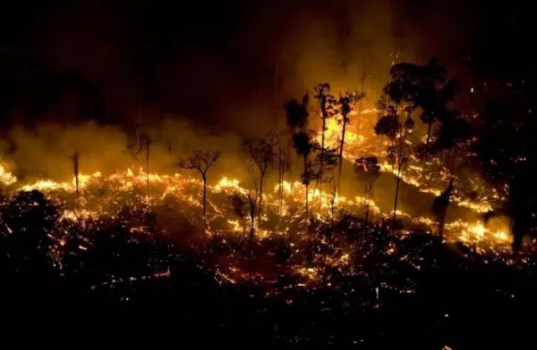 亚马逊雨林烧了3个星期,什么原因导致雨林燃烧?