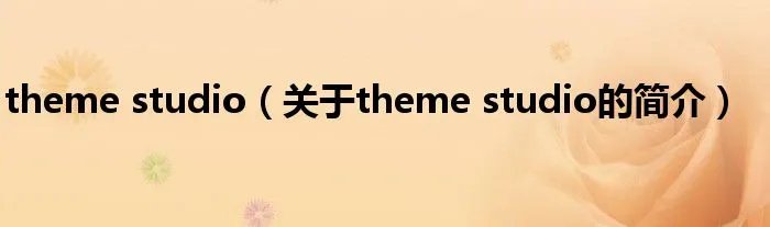 theme studio(关于theme studio的简介)