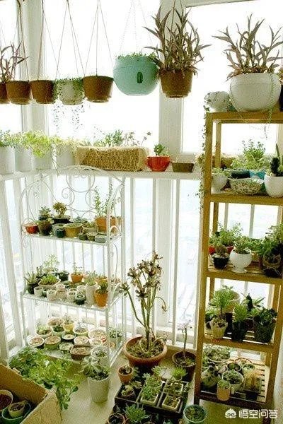 长方形的小阳台怎么打造小花园？