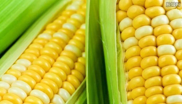 贵州种玉米将被罚 继续种将会受到怎么样的处罚?