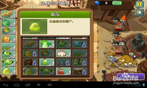 植物2中文版狂野西部种子保卫战第3天攻略