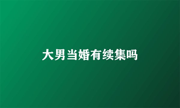 大男当婚有续集吗