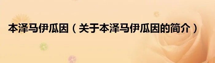 本泽马伊瓜因（关于本泽马伊瓜因的简介）