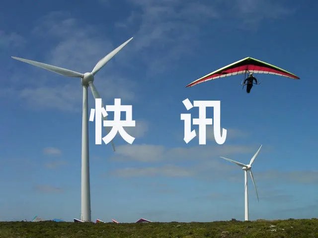 男子偷铜被抓遭员工跪压鞭打 背后真相实在让人惊愕