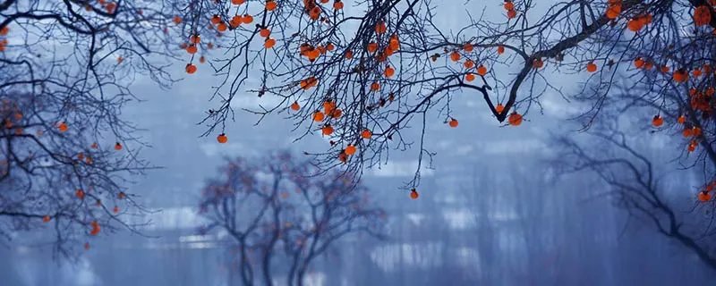 三九四九冰上走的含义