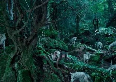 心酸!14个被野生动物养大的孩子(图文)