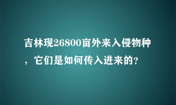 吉林现26800亩外来入侵物种，它们是如何传入进来的？
