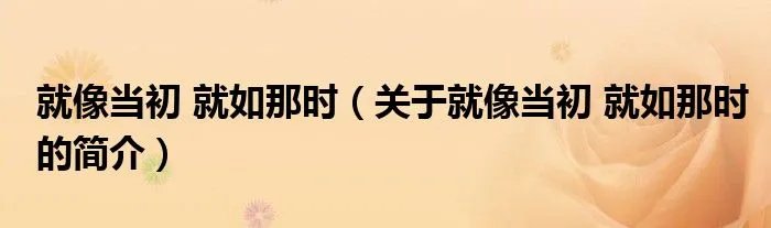 就像当初 就如那时（关于就像当初 就如那时的简介）