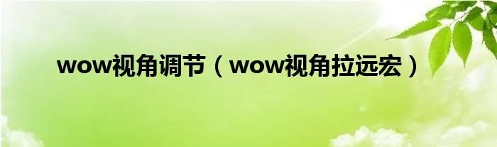 wow视角调节（wow视角拉远宏）