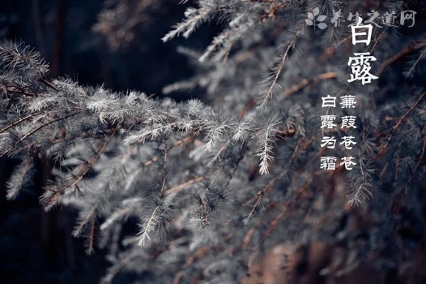 女孩被下水道吸走 下雨天出行如何躲避危险