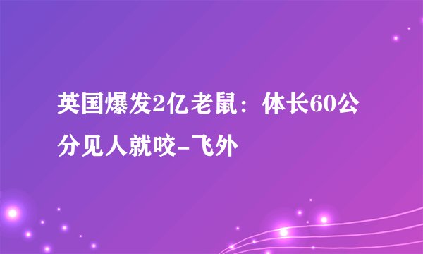 英国爆发2亿老鼠:体长60公分见人就咬-飞外