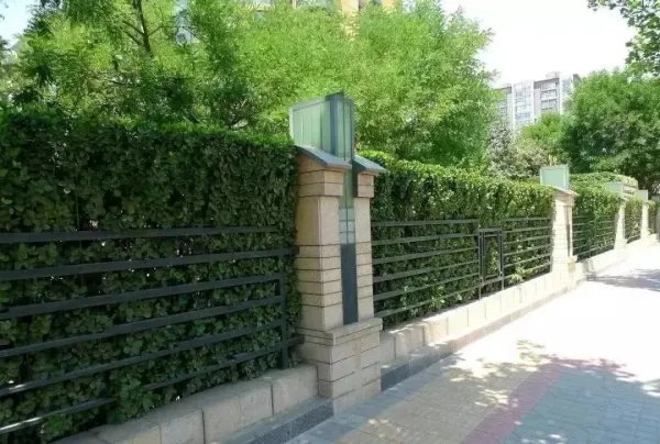 郑州一小区暴雨中倒下一堵墙,维修费129万,这个价格是否合理?