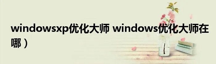 windowsxp优化大师 windows优化大师在哪）