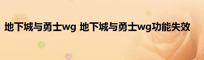 地下城与勇士wg 地下城与勇士wg功能失效