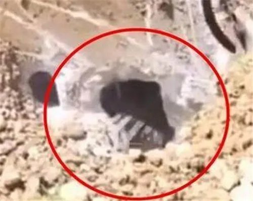 工人拆化粪池突发险情!地底钻出怪物（图）