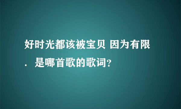好时光都该被宝贝 因为有限．是哪首歌的歌词？