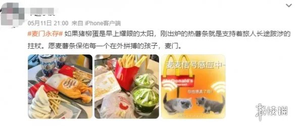 X门,更适合中国宝宝体质的善恶观