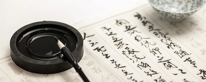 怂是什么意思   怂是指什么意思