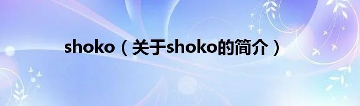 shoko（关于shoko的简介）