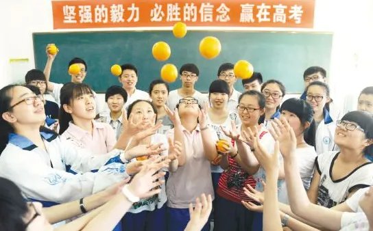 阳光高考网可以查到一分一段表吗