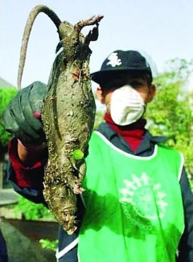 福岛核泄漏后变异女人：日本核辐射后的变异生物触目惊心