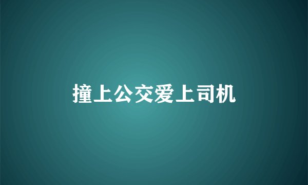 撞上公交爱上司机