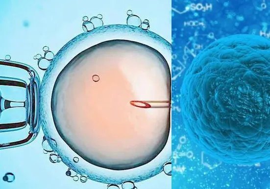 捐卵试管医院-男同性恋捐精,医院女护士会提供额外帮助吗?万万没想到答案