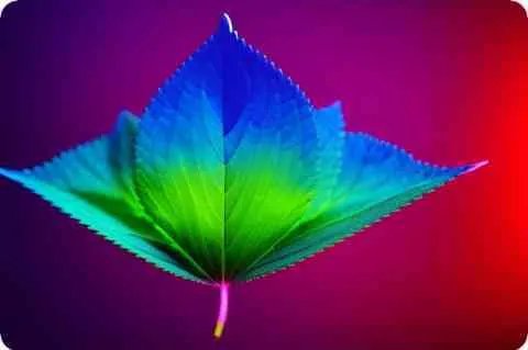 孤岛惊魂好看吗?