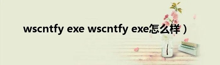 wscntfy exe wscntfy exe怎么样)