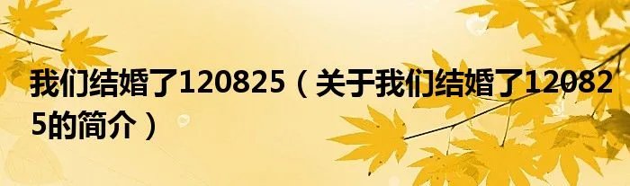 我们结婚了120825（关于我们结婚了120825的简介）