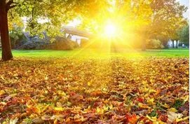 红太阳是怎样升起的