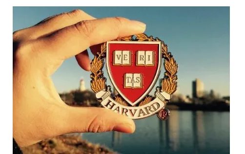 哈佛同意交出资料了吗？