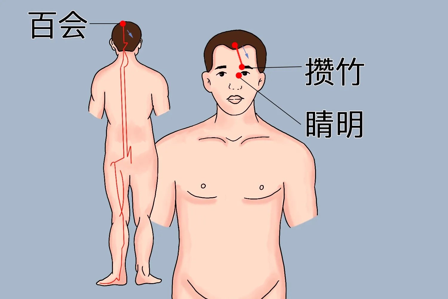 头部后脑勺经络图解大全图片