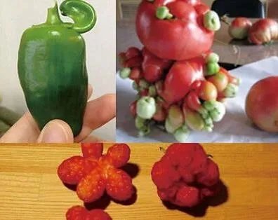 福岛核泄漏后变异女人：日本核辐射后的变异生物触目惊心