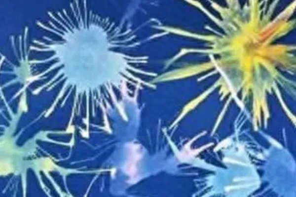 国庆节手工制作作品简单