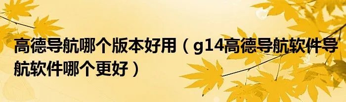 高德导航哪个版本好用（g14高德导航软件导航软件哪个更好）