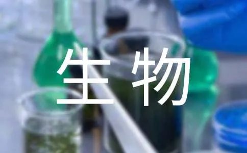 高中生物教案