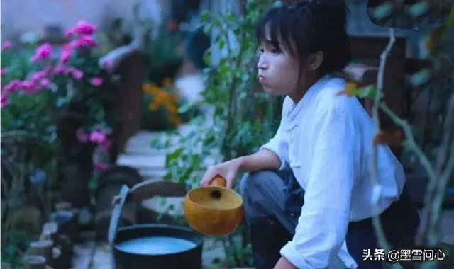 李子柒到底文化输出了什么?