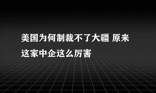 美国为何制裁不了大疆 原来这家中企这么厉害