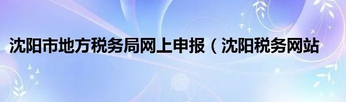 沈阳市地方税务局网上申报（沈阳税务网站