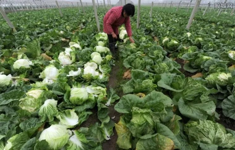 什么是厄尔尼诺现象？厄尔尼诺概念股有哪些？