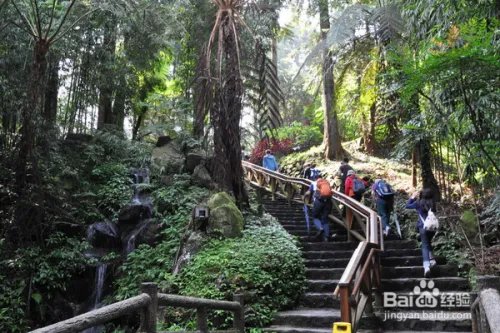 十一长假怎样过