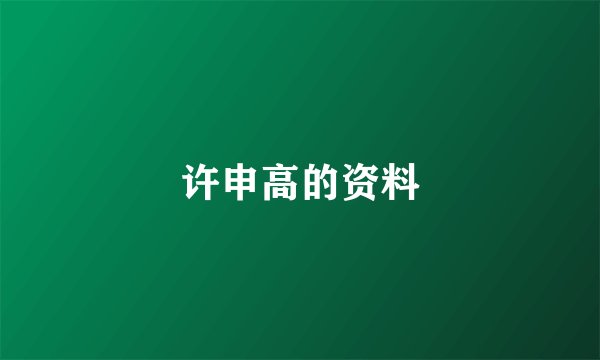 许申高的资料