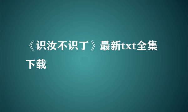 《识汝不识丁》最新txt全集下载
