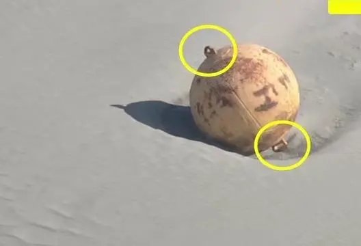 日本海岸发现不明球状物 日本海岸现不明球状物:直径1.5米