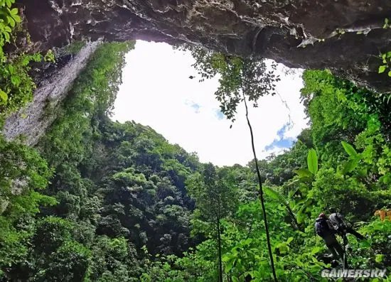 云南蒙自天坑发现百年未见植物 属于极危物种